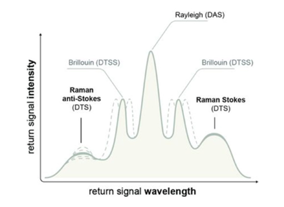 Distributed Acoustic Sensing (DAS)