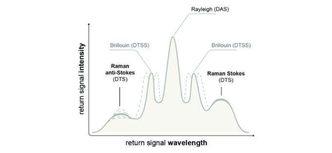 Distributed Acoustic Sensing (DAS)