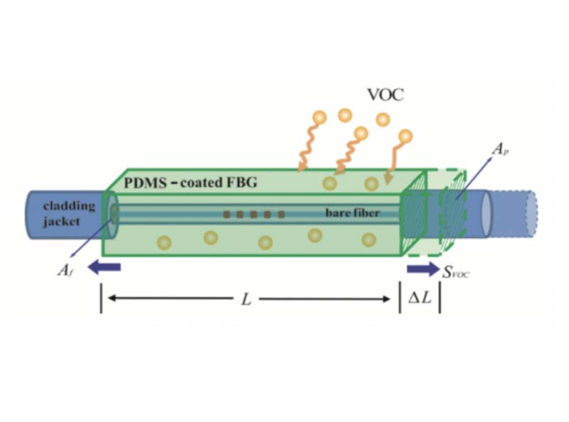 FBG Application In Chemical Sensing