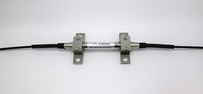 FBG Strain Sensor MS-01/MST-01