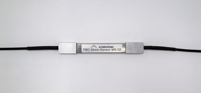 FBG Strain Sensor MS-02