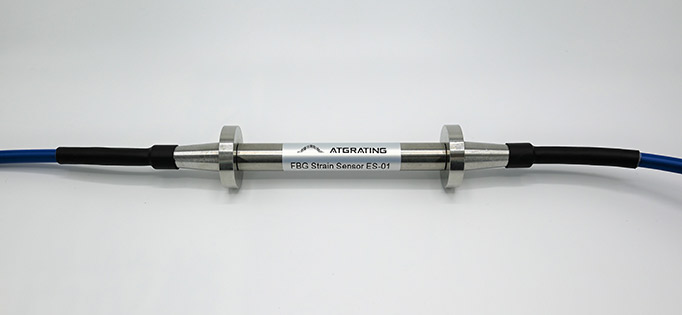 FBG Strain Sensor