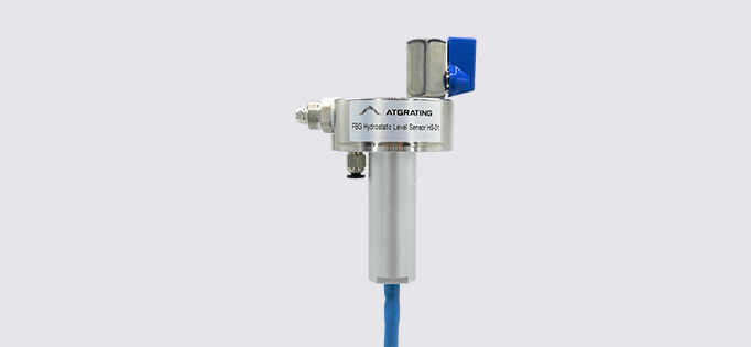 FBG Hydrostatic Level Sensor