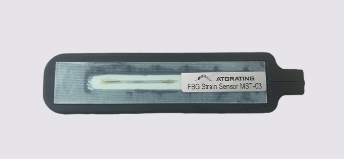 FBG Strain Sensor MST-03